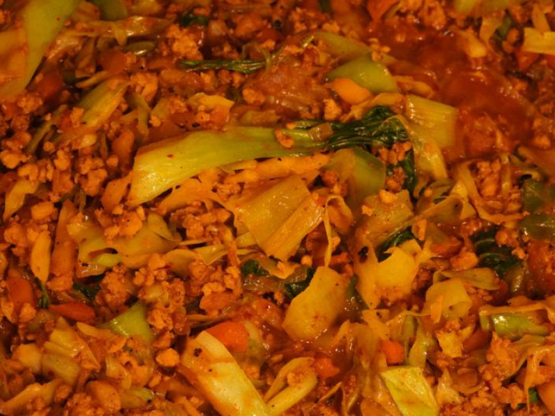 Svinekød østasiatisk-inspireret – hong shao style