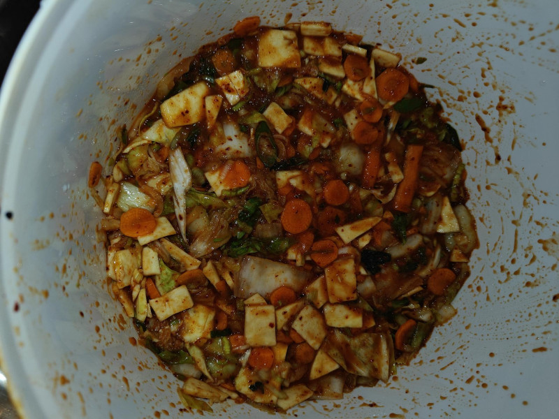 Kimchi i 10 liters spand, med gæringsrør 
