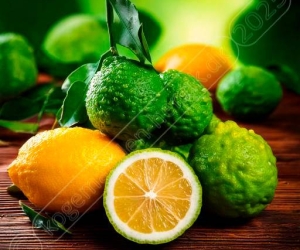 Alt om Bergamot