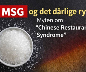 Naturlig eller kunstig umami – MSG i madlavning