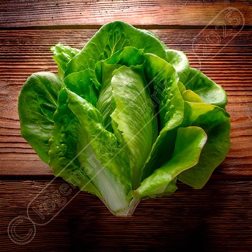 hjertesalat b0426