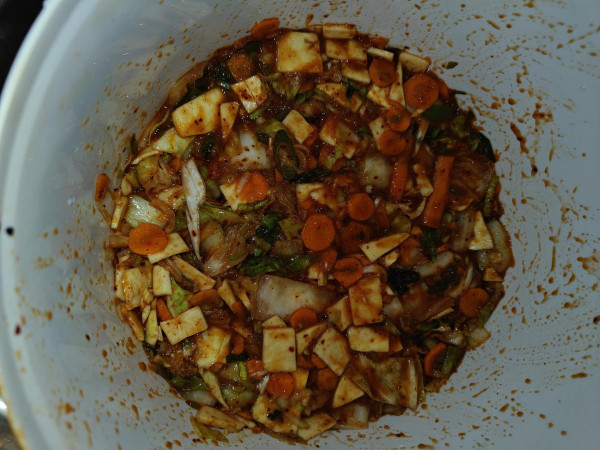 Kimchi med kinakål, spidskål og knoldselleri